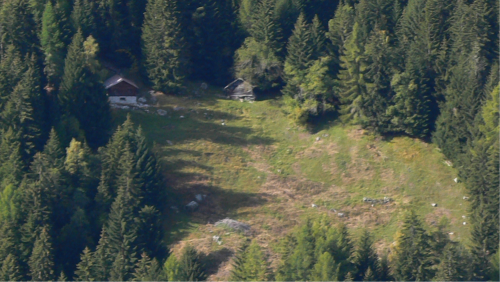 Nun betrachtete sie das Gebirge auf der anderen Talseite und den Abhang (...). Dahinter war die Lichtung einer Almweide, die ihr jetzt mit ihren zwei oder drei Hirtenhäuschen sehr nahe erschien.