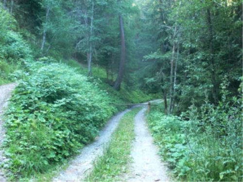 Der Weg ging nun unter der Grenzbarriere weiter. Sie kroch darunter durch und war auf der Wiese vor dem Chalet angelangt.