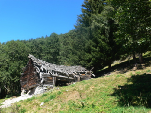 Spaziergang zu der anderen Lichtung, die langsam verwildert, aber noch muht im hinteren Teil des Waldes. Mehrere Chalets warten auf den Wiesen wie Boote darauf, über den Styx zu setzen. Manche sind schon am anderen Ufer mit zerfledderten, halb eingebrochenen Schindeldächern...