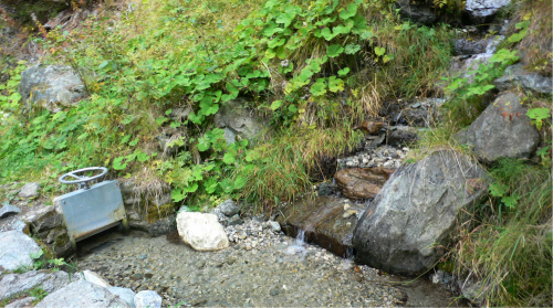 Endlich kam die Wasserleite, halb von großen Alpendostblättern verborgen; sie war ziemlich breit, ein Wasserlauf schlängelte sich darin. Clemens rüttelte am Gatter eines Reservoirs aus Zement. - Zugedreht, natürlich.
