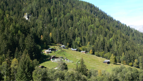 Manche Bauern auf den Ländereien waren weggegangen, andere kamen an und wohnten in den kleinen Maiensäßen am Rand der Domäne, sogar in dem ganz unten, das ein wenig verwahrlost war.