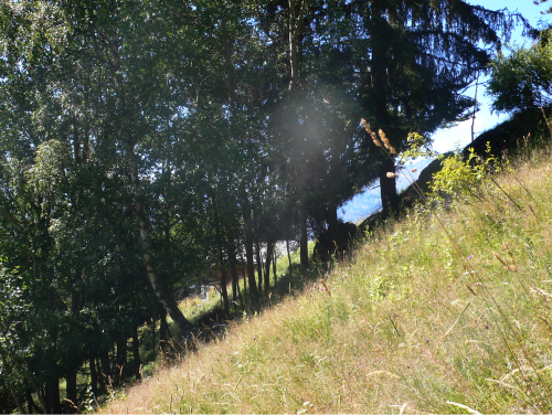 Wir gehen die lange Wiese hinunter, die so steil ist, dass es sie schier unter unseren Füßen wegzieht.